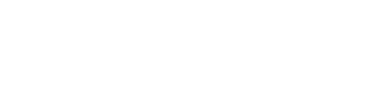 AVIOT POWER PIECE PS-F1200