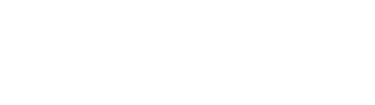 AVIOT POWER PIECE PS-F300