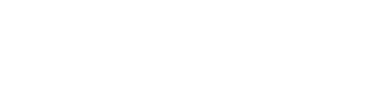 AVIOT POWER PIECE PS-F500