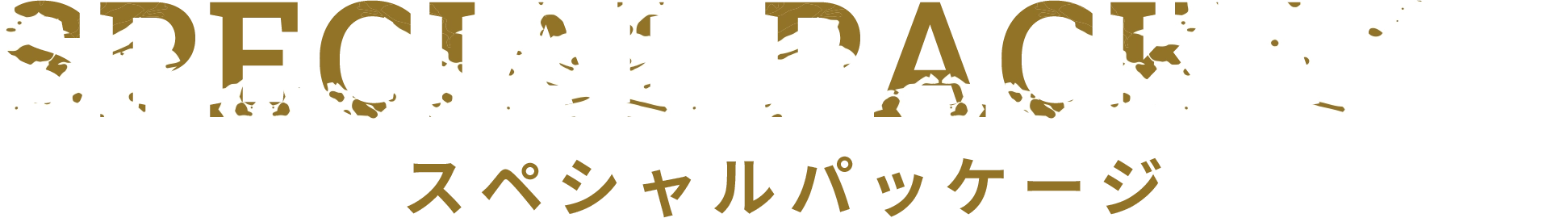 スペシャルパッケージ