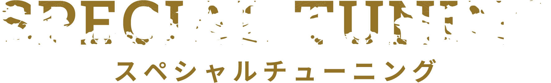 スペシャルチューニング