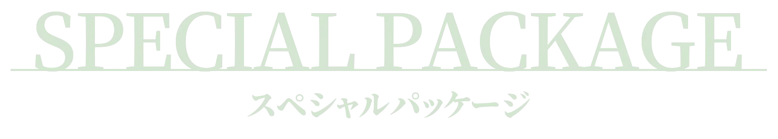 スペシャルパッケージ