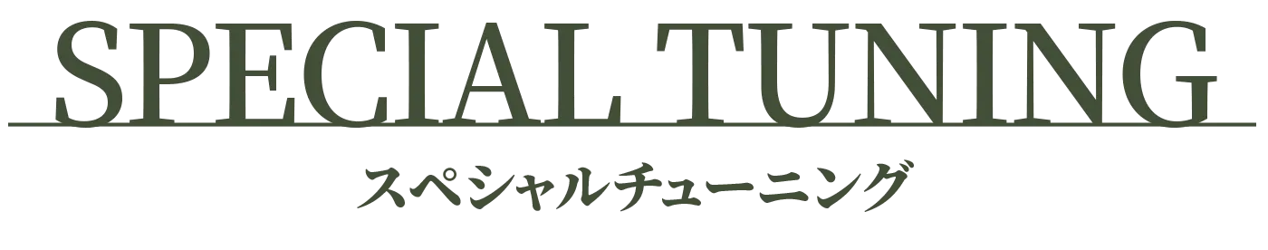 スペシャルチューニング