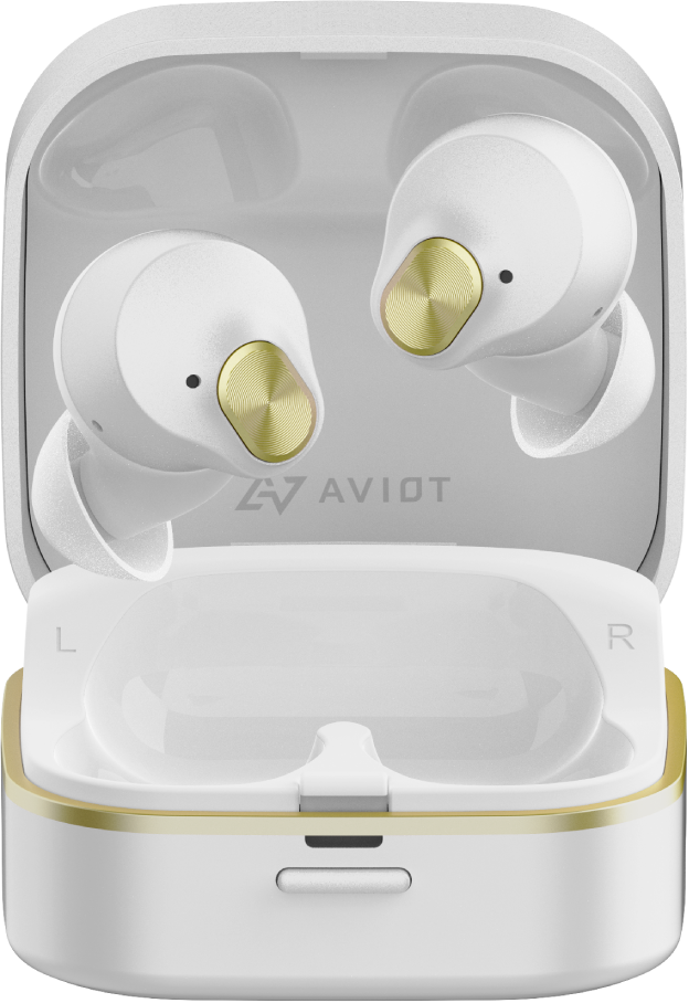 TE-Q3 製品情報｜AVIOT