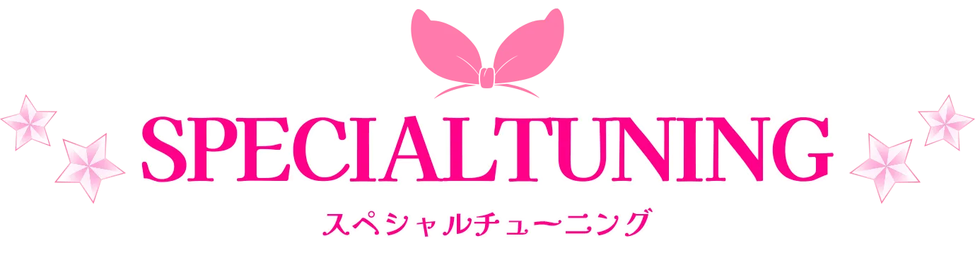 スペシャルチューニング