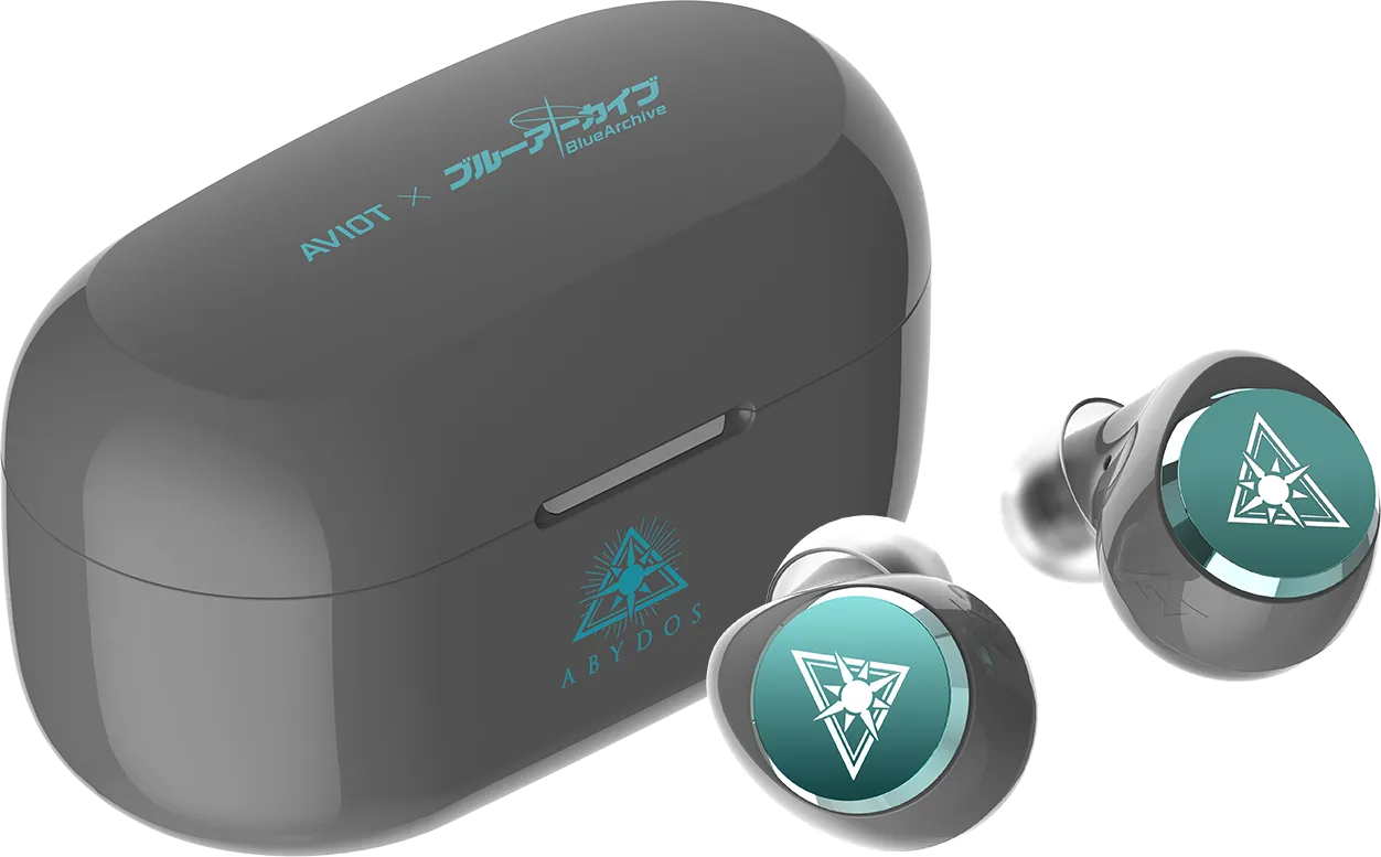 新品　AVIOT TE-V1R ワイヤレスイヤホン　aviot te-v1r TE-V1R 製品情報｜AVIOT