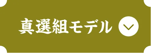 真撰組モデル