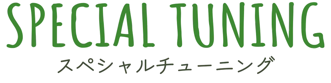 スペシャルチューニング